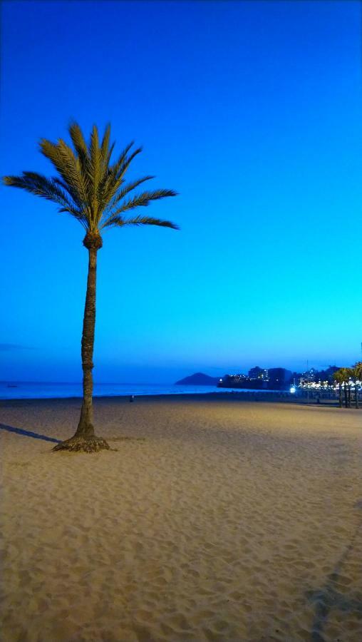 Best View - Welcome Penthouse Apartamentos Karola Benidorm Dış mekan fotoğraf